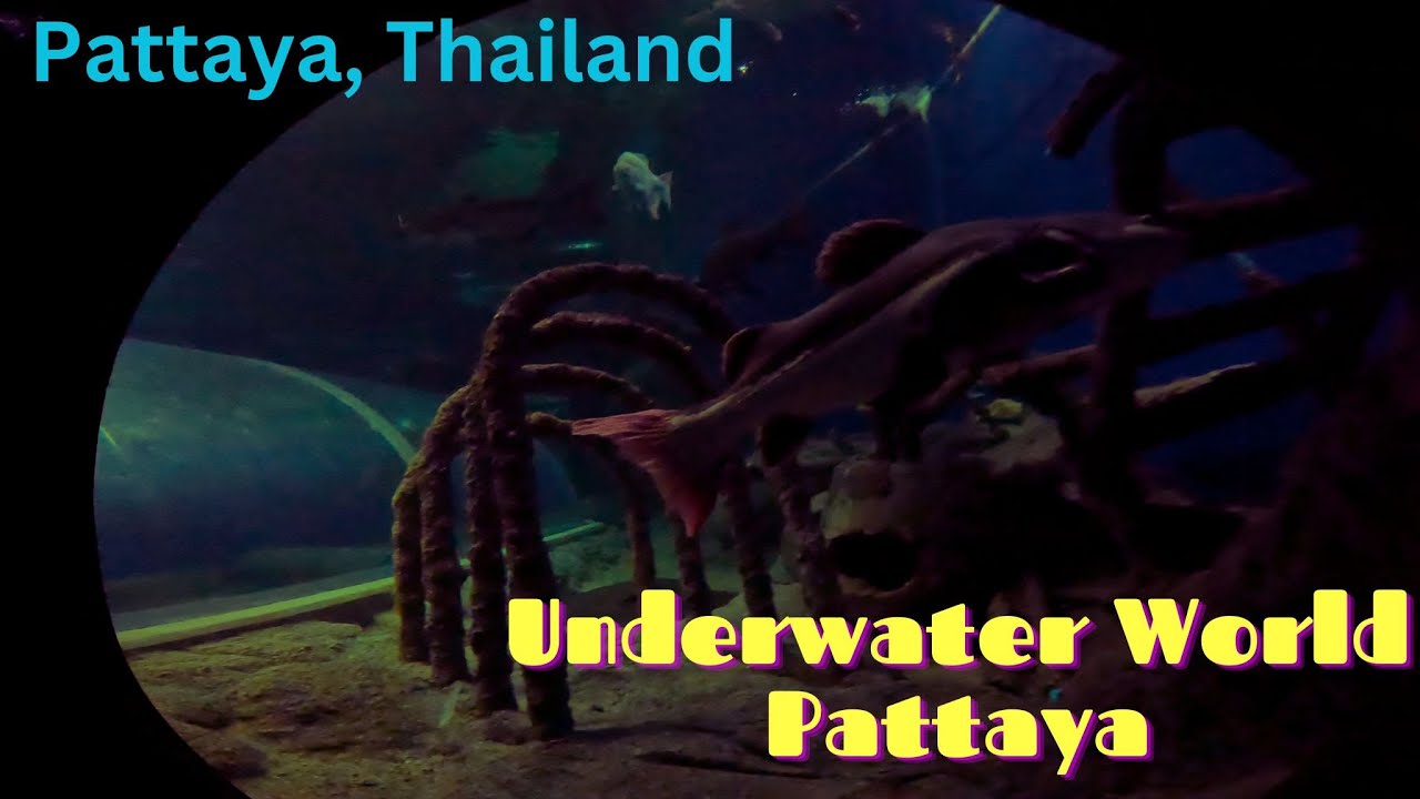 Walking Tour in Underwater World Pattaya (June 17, 2023)