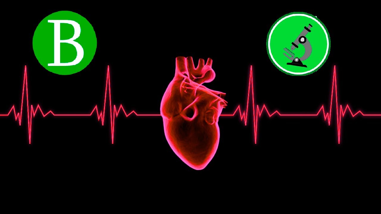 🔴🥼ESPECIAL SAN VALENT&Iacute;N CON @microterra 🔬🔴