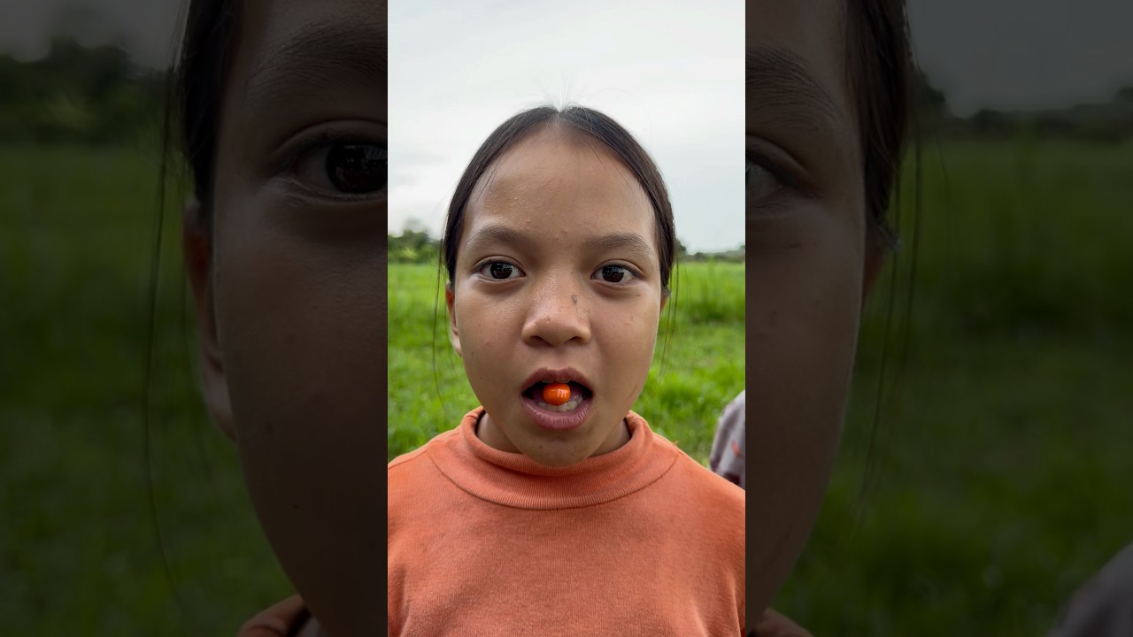 Yummy Bites Crispy M&M&rsquo;s chocolate 🍫 eaten by #villagee |#viralvideo #satisfying #fypシ゚