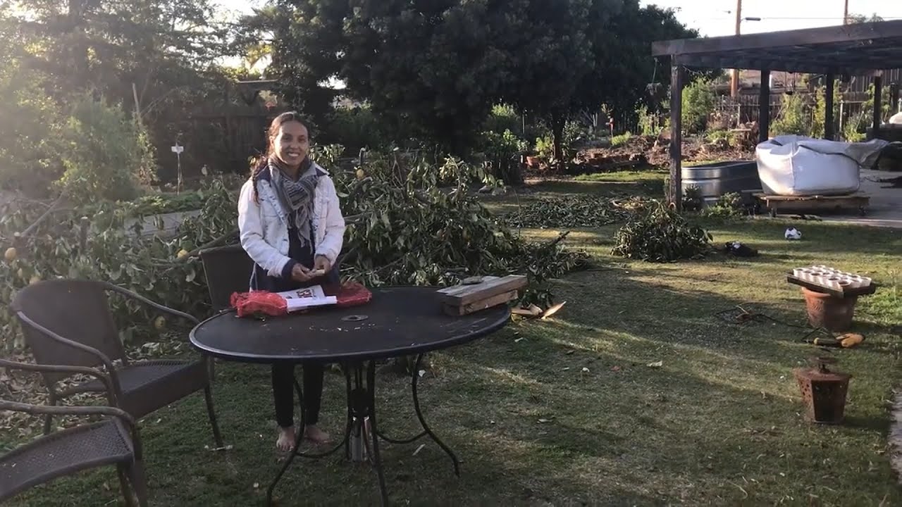 Regenerative Living Garden Tour