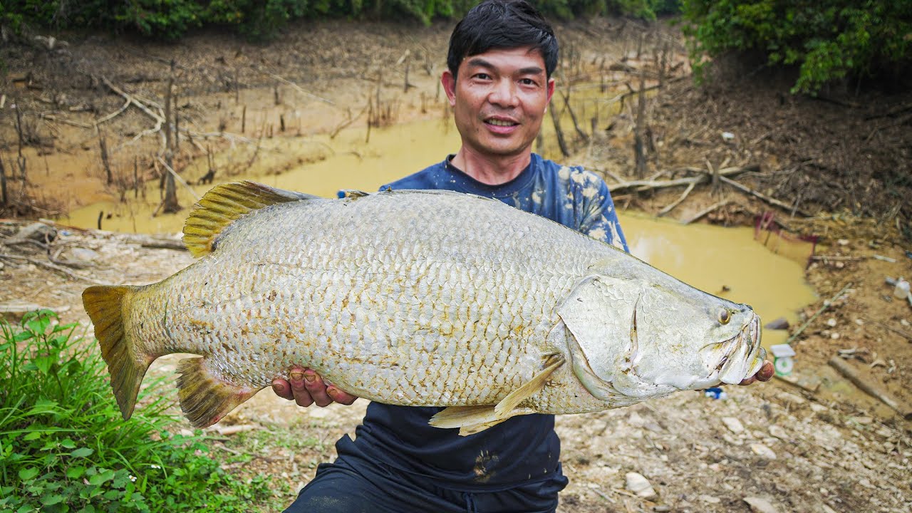 Ao 13 Triệu Phần 7 - Cá Vược 1X Kg Bất Ngờ Lao Lên Khỏi Ao