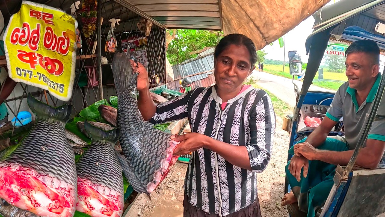 Rural Fish Market! Hardworking Woman's Skills At The Best Roadside Freshwater Fish Market