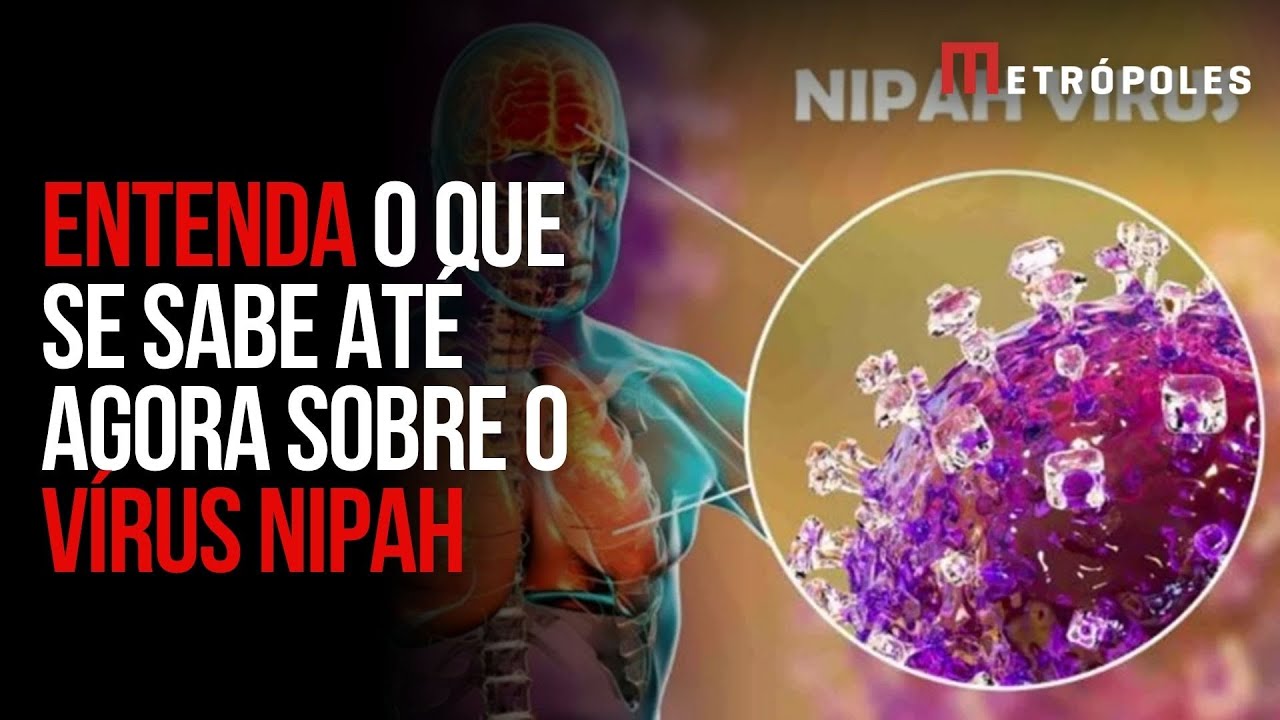 Vírus Nipah: tudo sobre a doença que reacendeu alerta global
