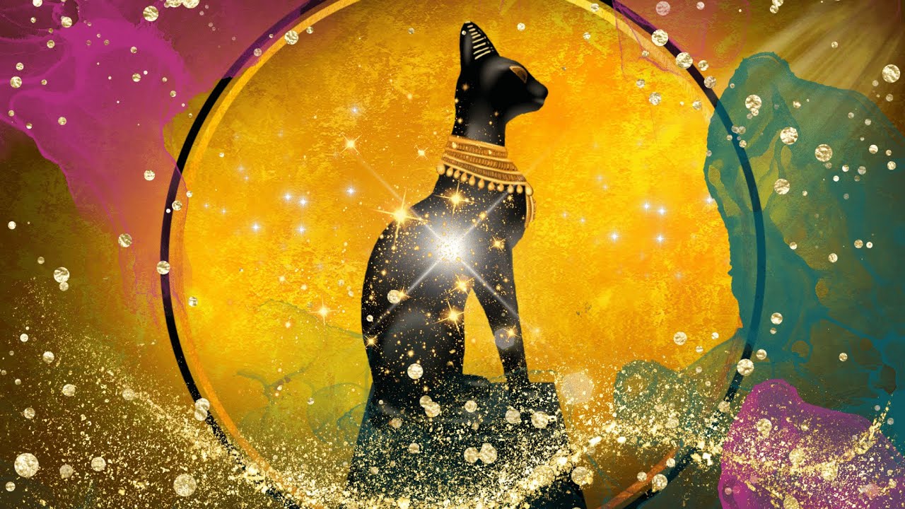 AURĒA Cat Energy Healing | Explorative Feline Frequencies for Wellbeing and Vitality