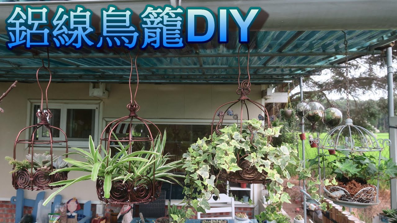 鋁線鳥籠花器DIY。可以種植吊蘭、長春藤、多肉