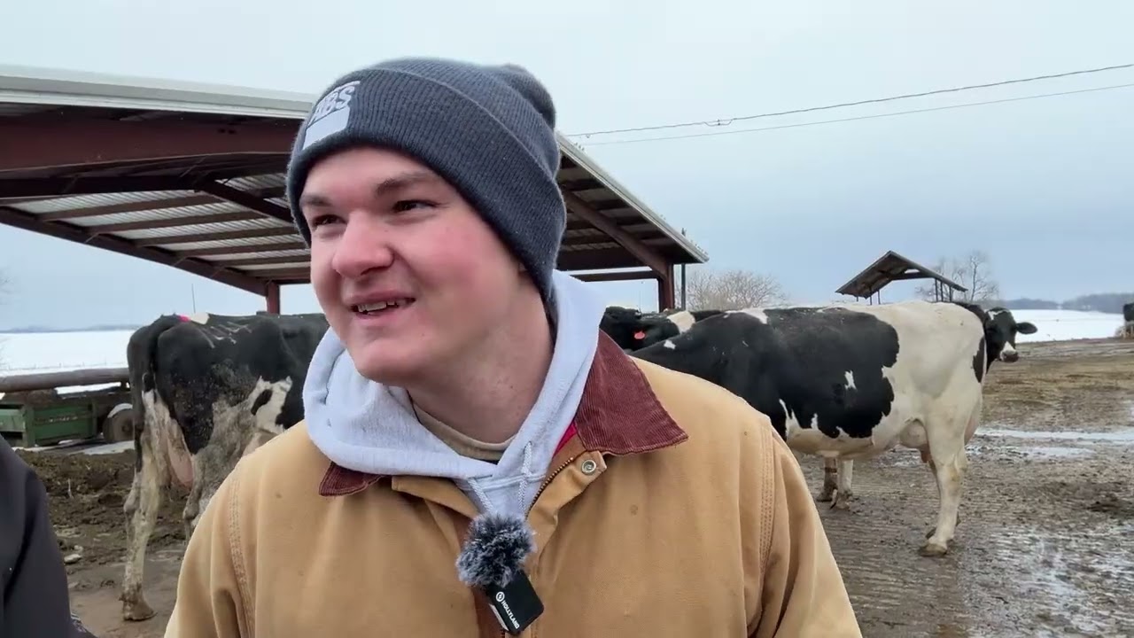 REXING DAIRY FARM