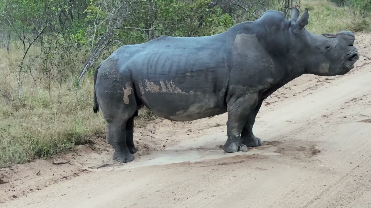 South Africa 2022 Trip