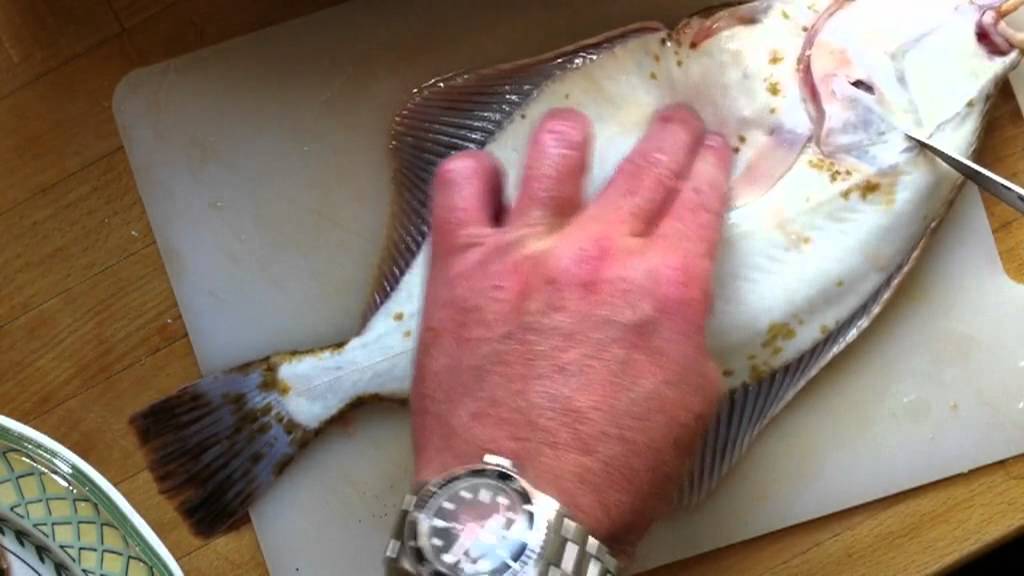 Rense R&oslash;dsp&aelig;tter og Fladfisk