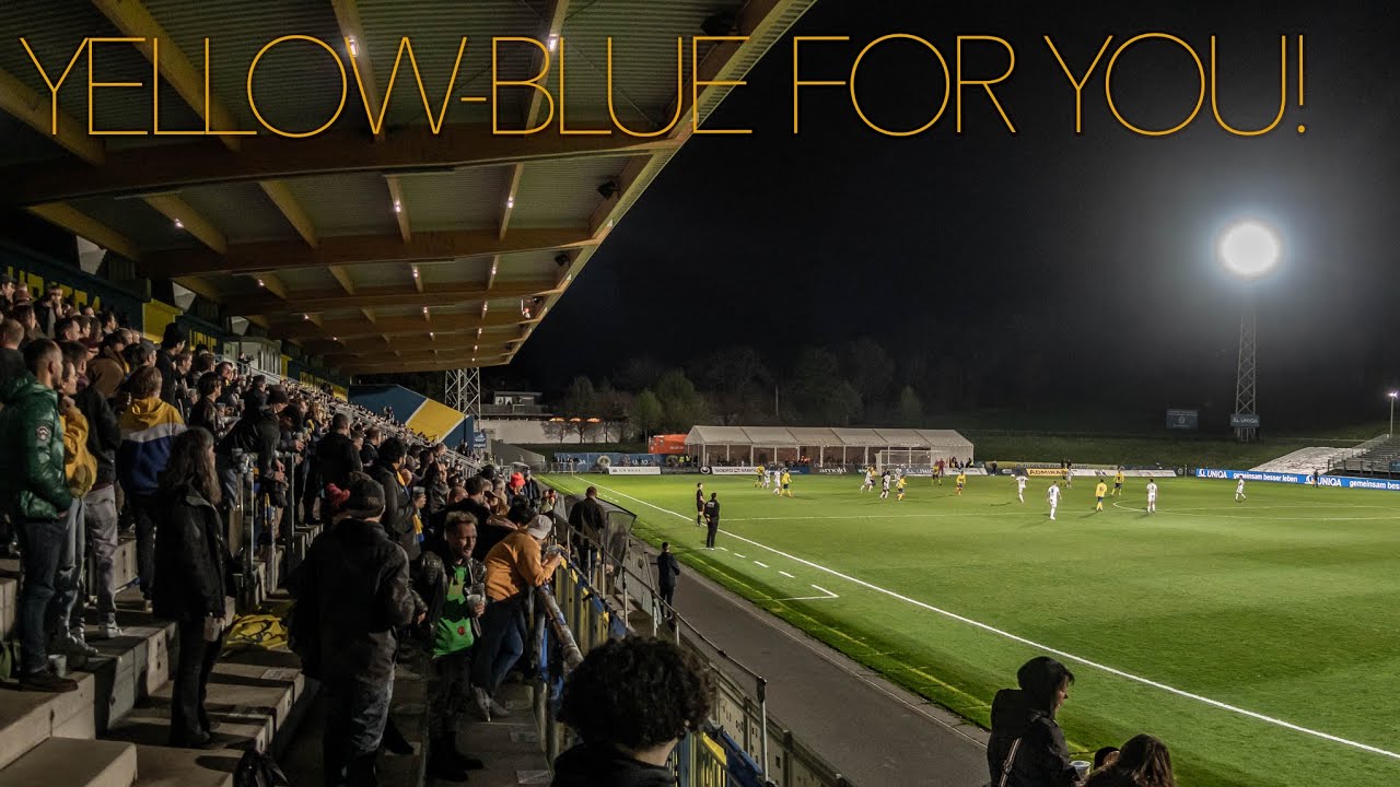 YELLOW-BLUE FOR YOU | SC NEUSIEDL AM SEE MATCH | COME ON VIENNA V-log 119