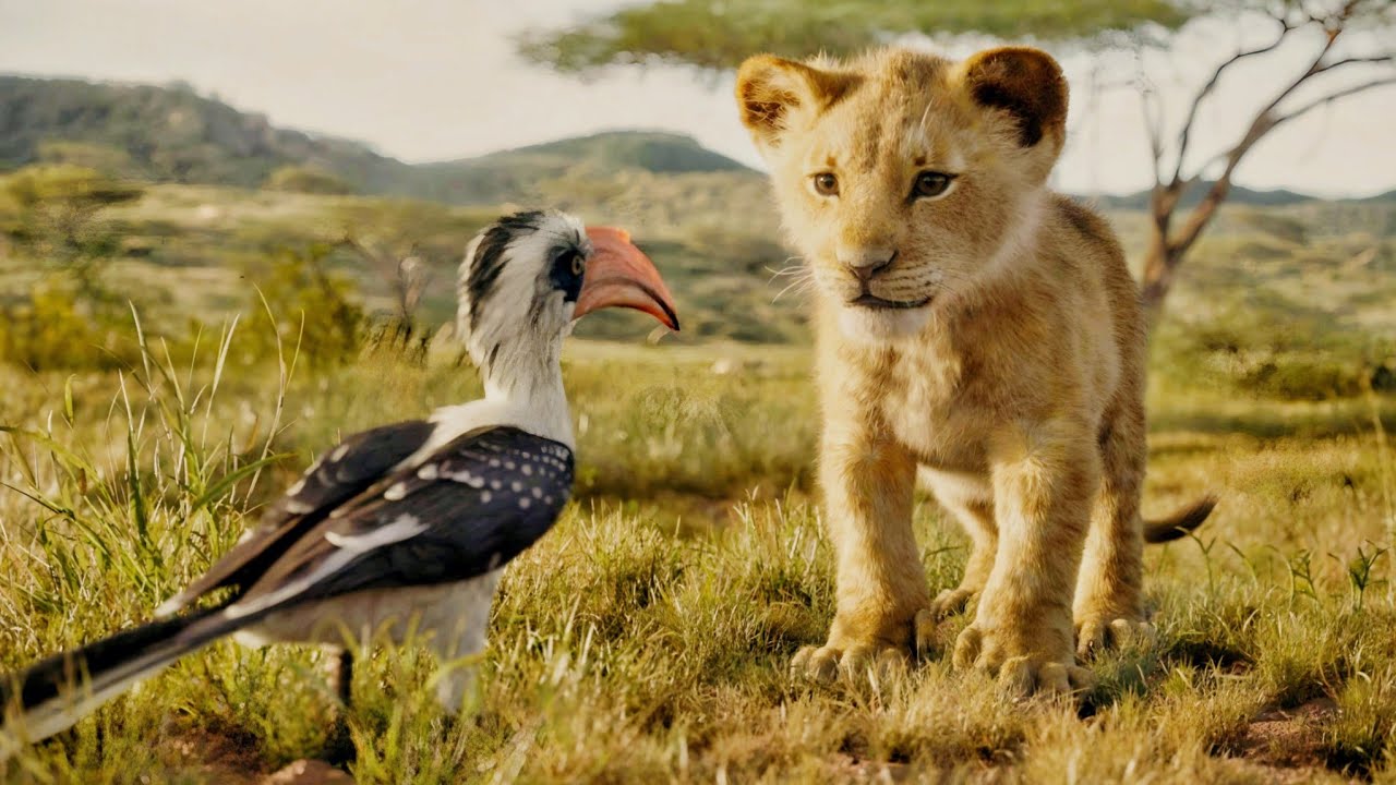 Simba, Avenges the Murder of his Father Mufasa and Becomes a True King. Summarized Story hindi/اردو