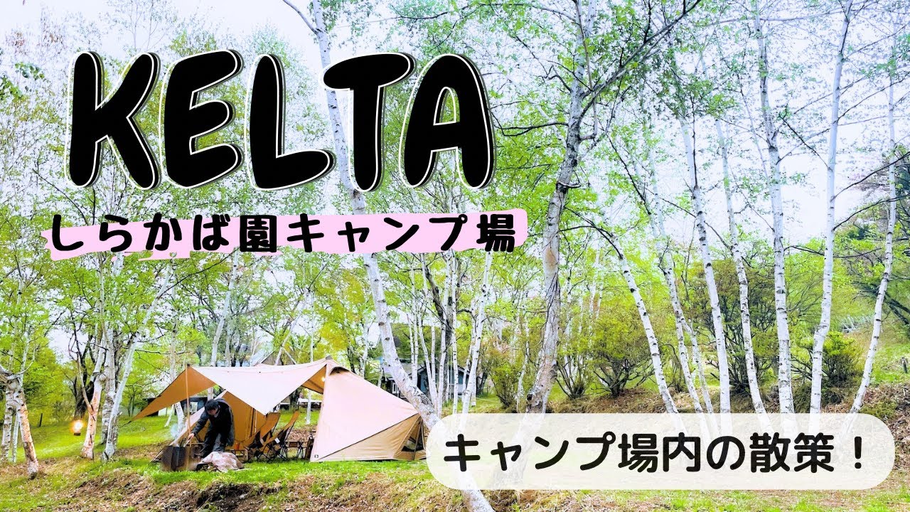 KELTAしらかば園キャンプ場のサイトやトイレ！シラカバや桜の様子もわかる場内を散策している動画！涼しくて快適だったわ