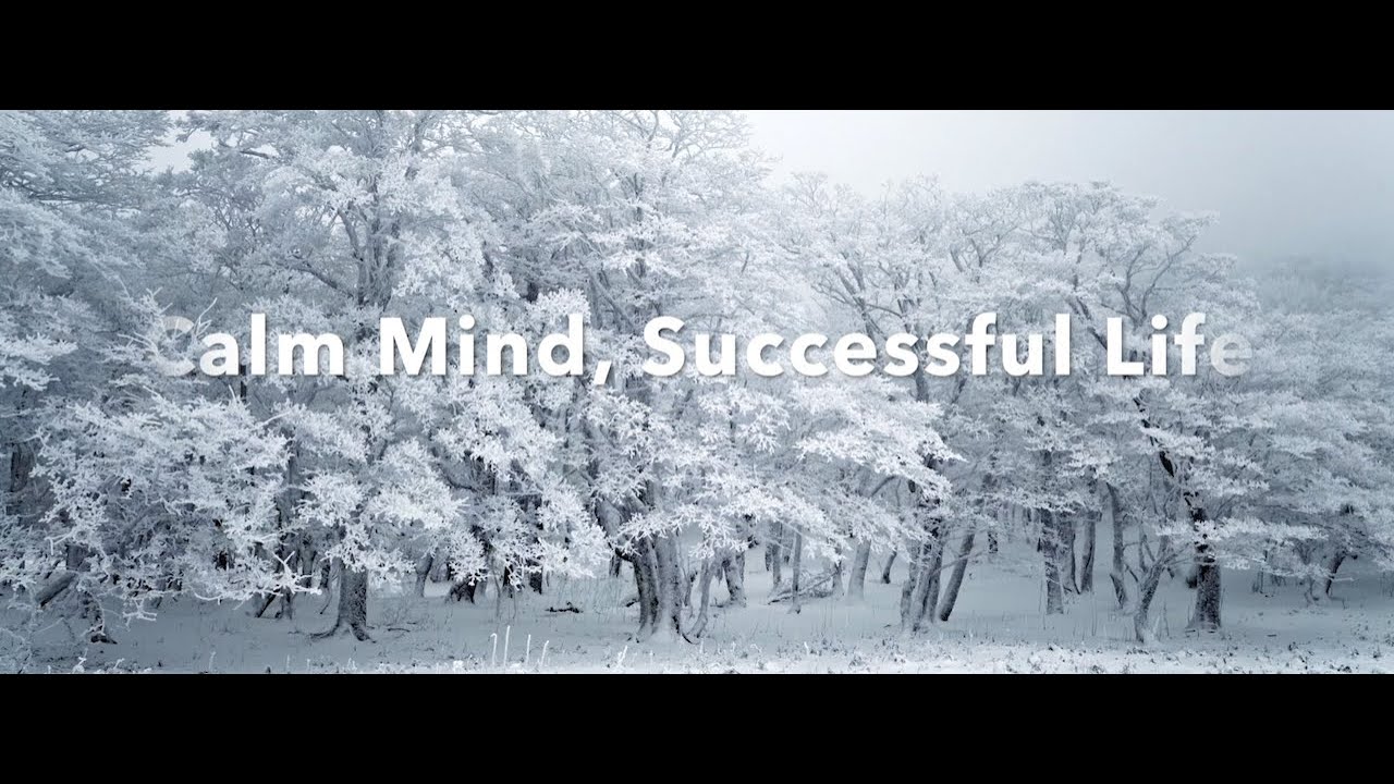 Calm Mind, Successful Life - The Gentle Way to Grow