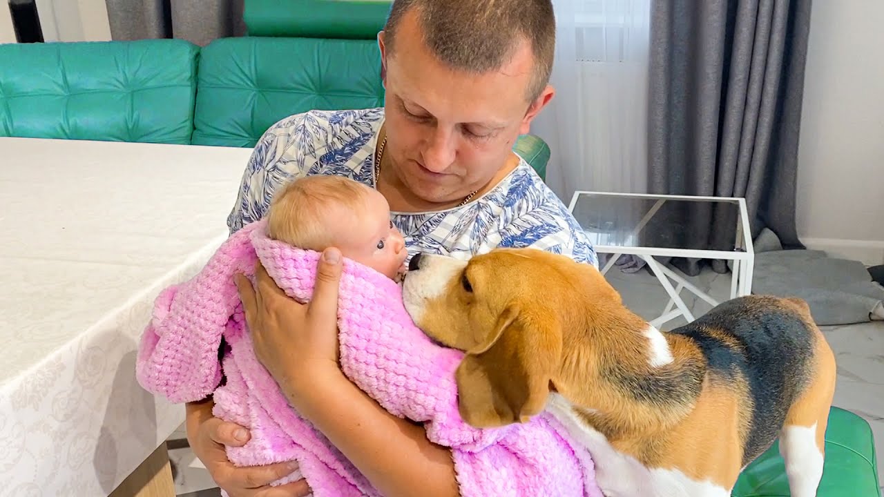 ЩЕНОК ХОЧЕТ ОБЛИЗАТЬ МАЛЕНЬКУЮ СЕСТРУ БРОС ШОУ. НИКА ЛАЙФ