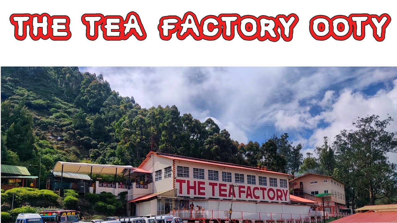 The Tea Factory Ooty - Tea Museum and Chocolate Factory #ooty #teafactory