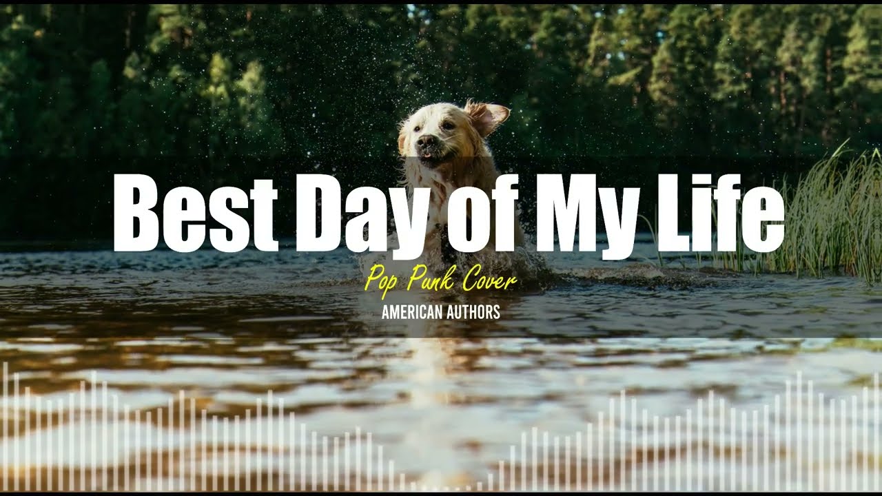 Best Day of My Life - American Authors | Pop Punk Cover