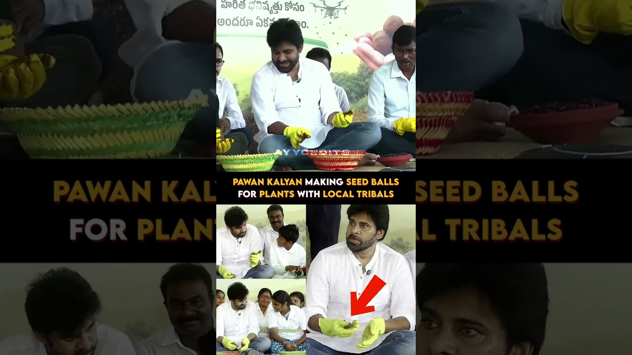 #PawanKalyan Seed Balls #Telangana #RevanthReddy #KCR #ChandraBabu #AndhraPradesh #RamCharan #Peddi