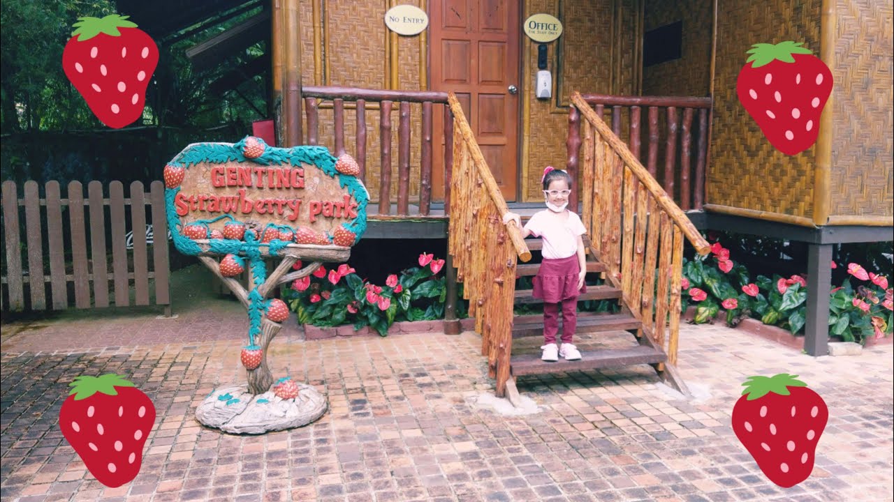 Visit to Strawberry Leisure Farm, Genting Highlands | Keekee's World