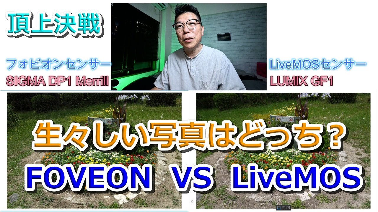 フォビオンセンサー VS LiveMOS センサー 比較してみた