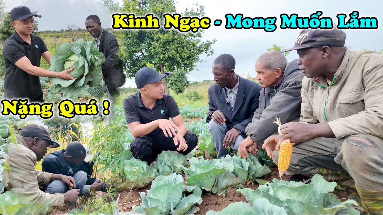 Nhìn Thế Này Người Dân Khắp Nơi Đều Mong Muốn ,Cảm Ơn Việt Nam !!!