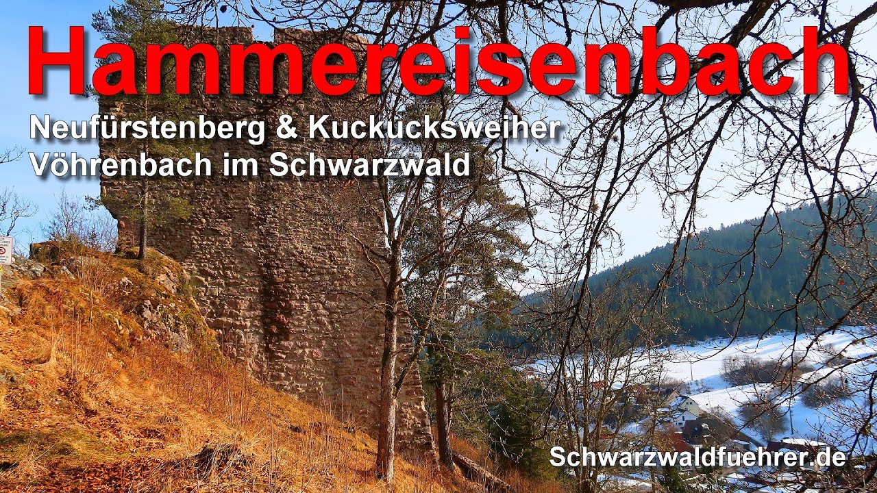 Hammereisenbach mit der Ruine Neufürstenberg und dem Kuckucksweiher