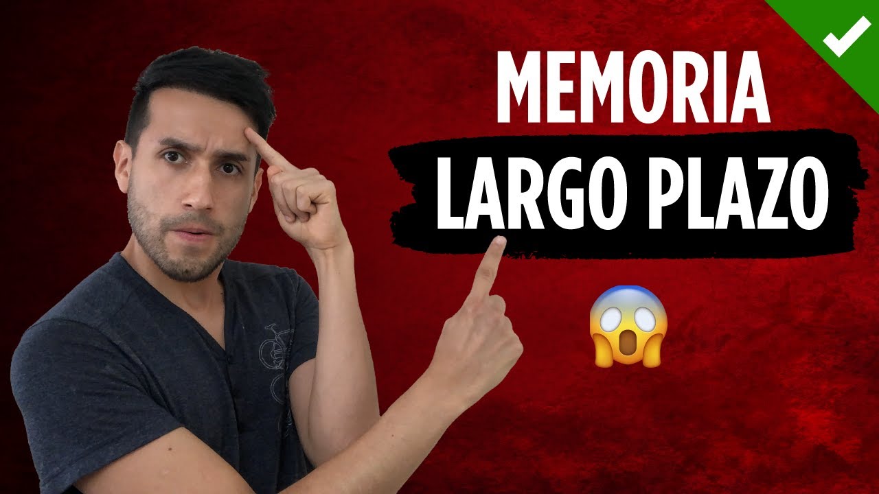CÓMO MEJORAR LA MEMORIA A LARGO PLAZO ✅ [Curso de técnicas de memorización] #04