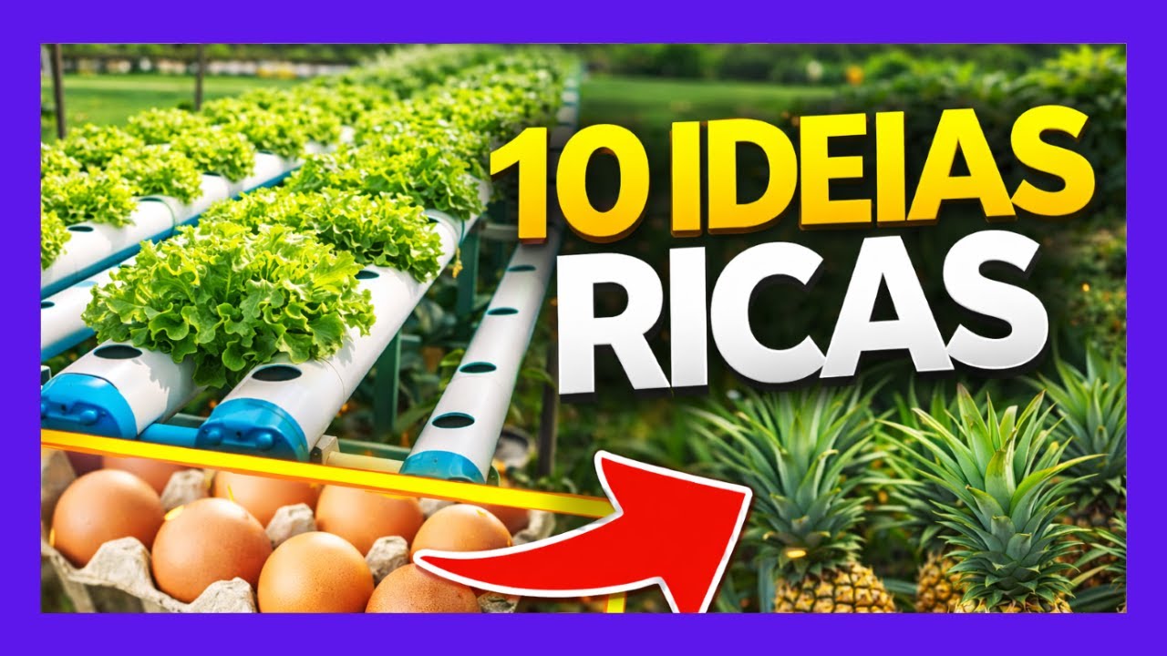 Como GANHAR R$ 10.000 por MÊS em Apenas 1 HECTARE? (10 Ideias Validadas)