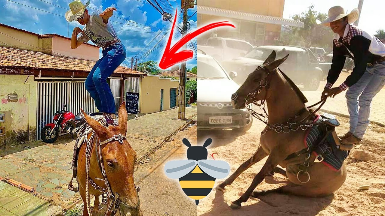 OLHA OS ABEIA NA CAVALGADA 🐝 😅
