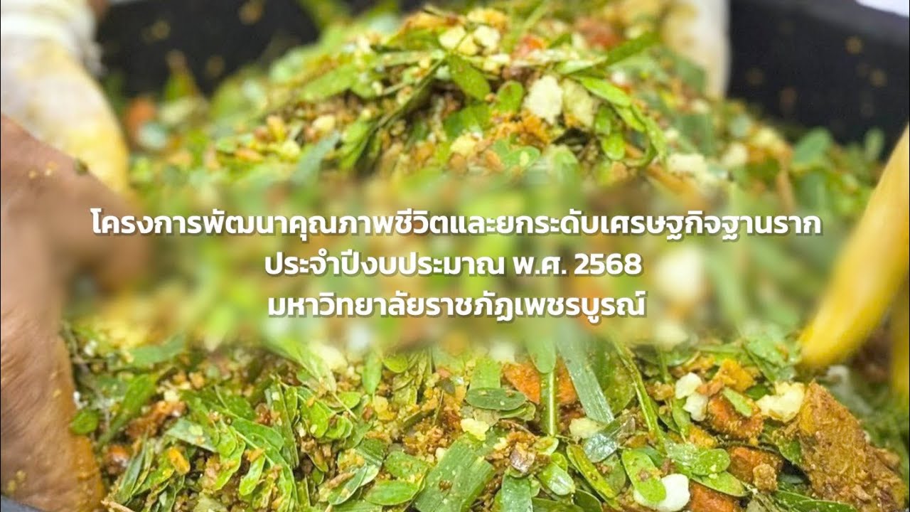 โครงการพัฒนาคุณภาพชีวิตและยกระดับเศรษฐกิจฐานราก ประจำปีงบประมาณ  พ.ศ. 2568