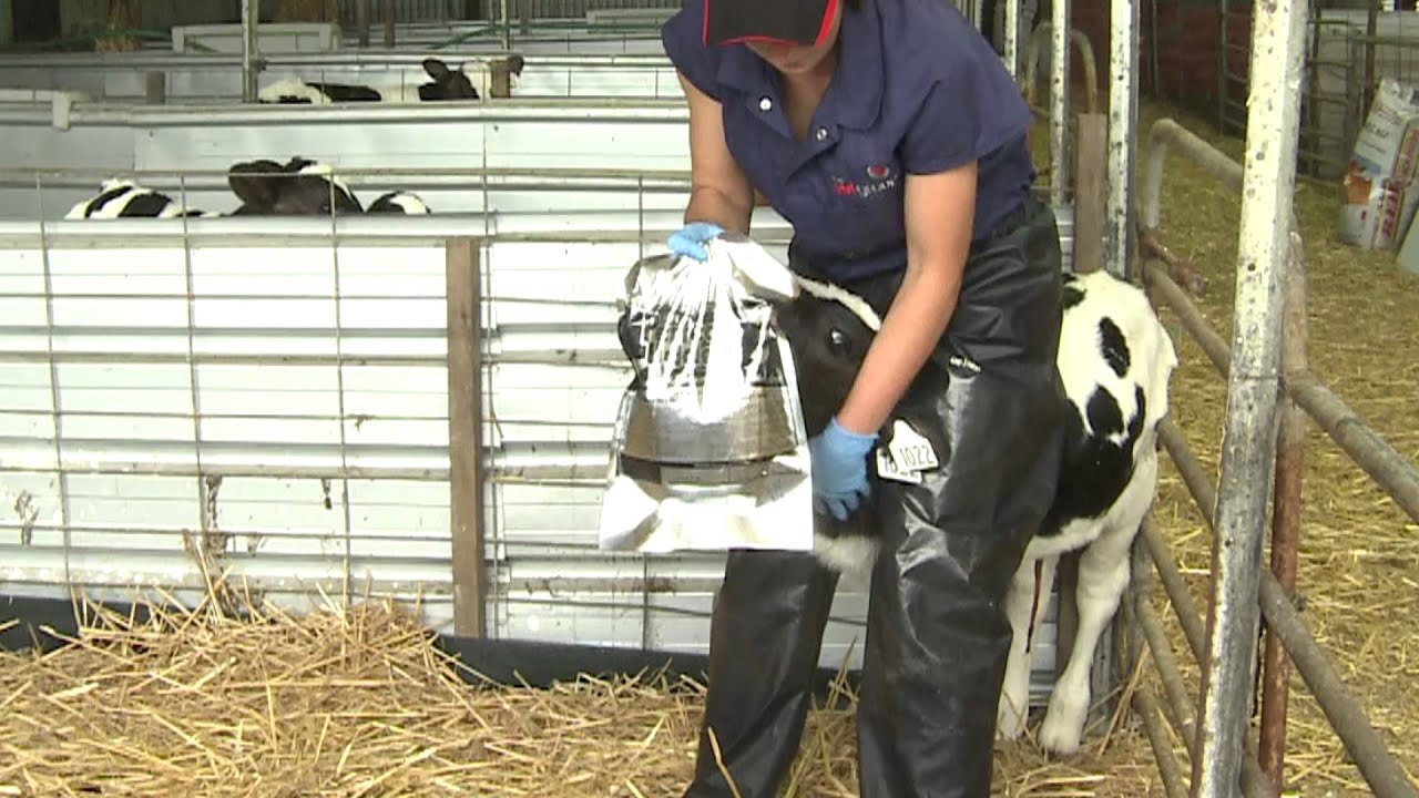 Tube Feeding with The Perfect Udder® Bag