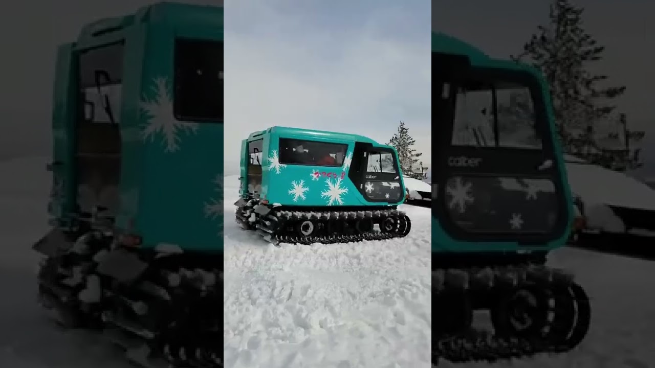 雪上車，in長野県かまくらの里