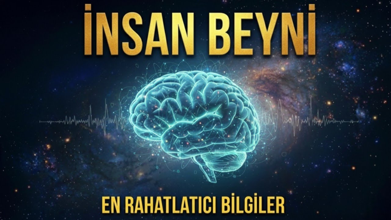 İnsan Beyni Hakkında En Rahatlatıcı 100 Bilgi