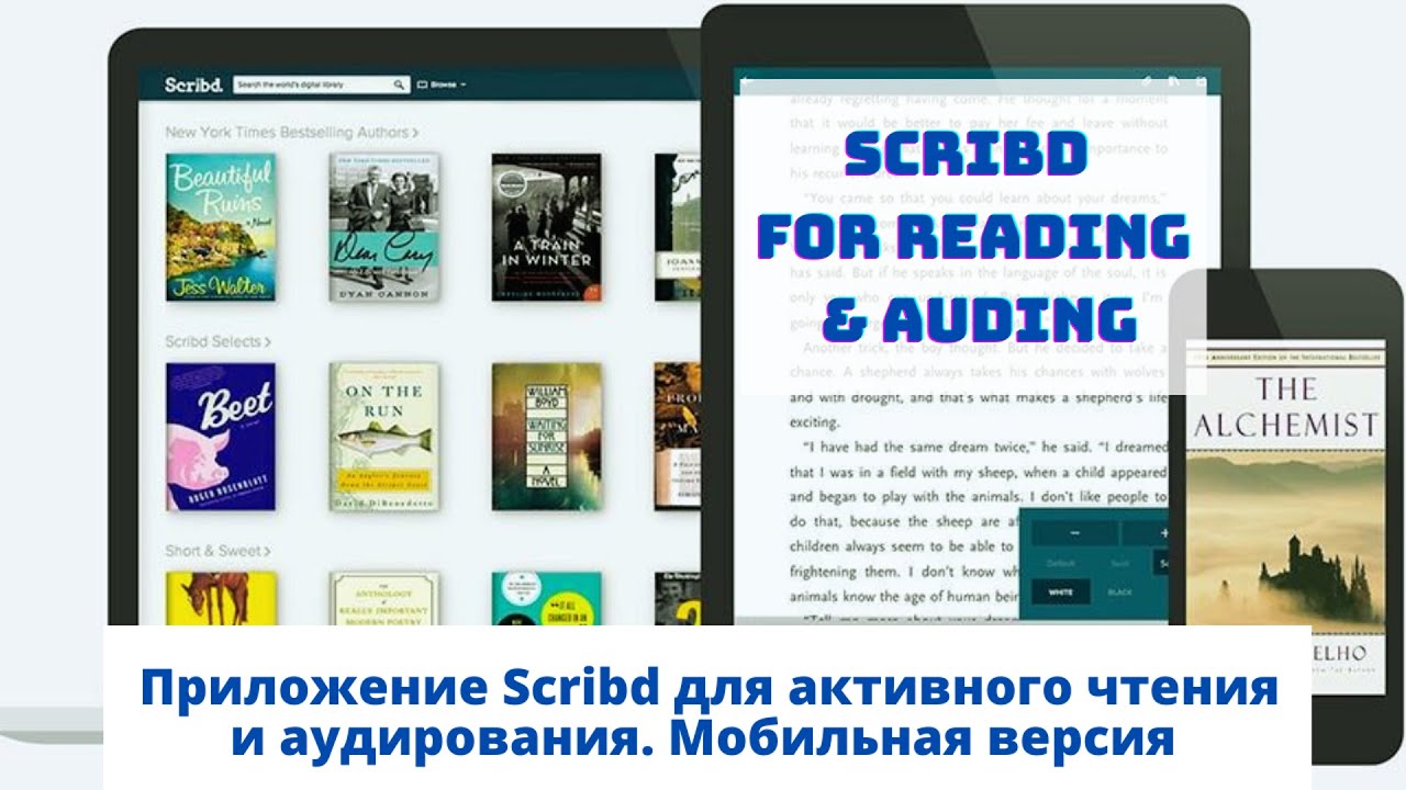 Обзор приложения Scribd для активного чтения и прокачивания аудирования  Мобильная версия