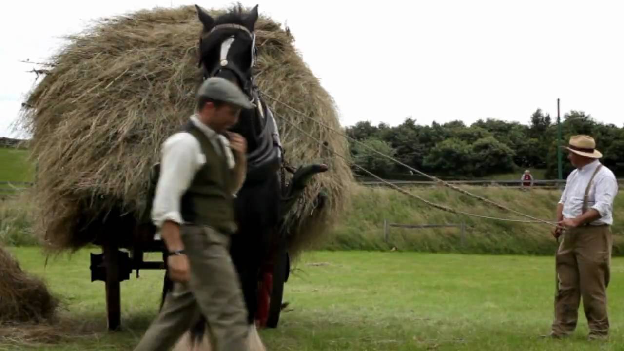 Beamish Museum: Collecting the hay.