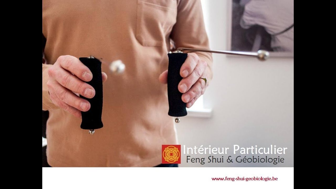 La géobiologie et le Feng Shui dans l'habitat - Intérieur Particulier