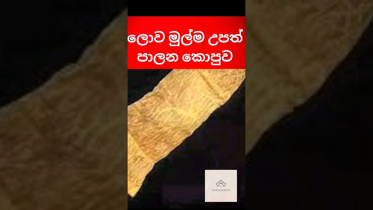 ලොව මුල්ම උපත් පාලන කොපුව l world first condom #haraskada