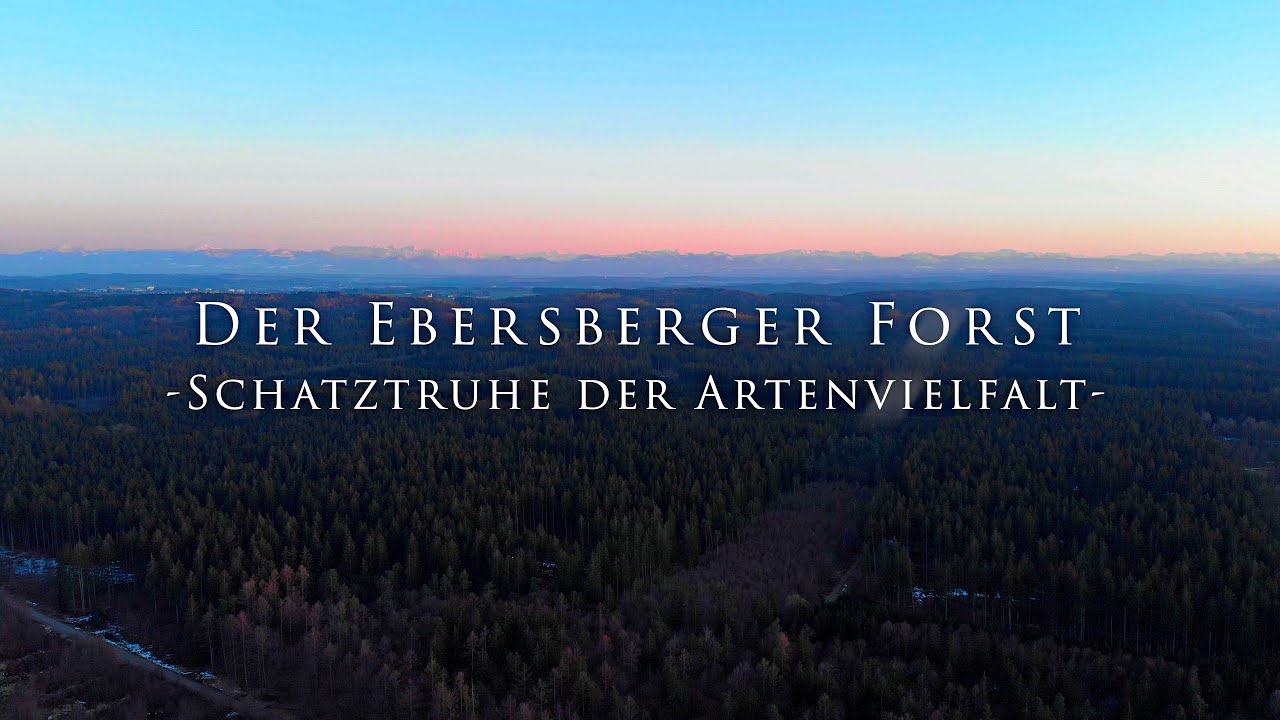 Ebersberger Forst  - Schatztruhe der Artenvielfalt -