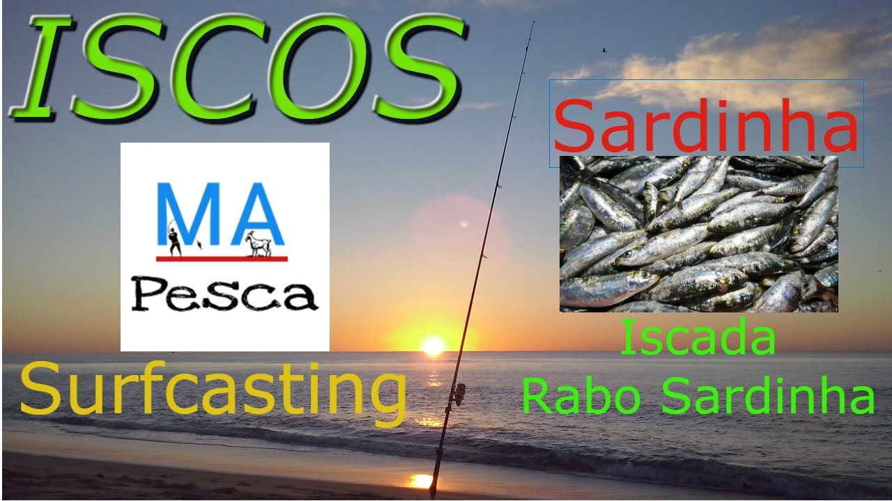 Como Iscar Sardinha 1 (