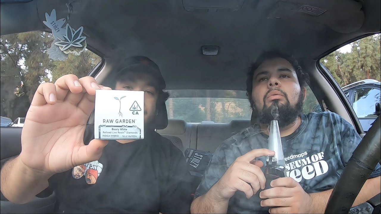 RAW GARDEN &ldquo;BEARY WHITE&rdquo; INDICA HYBRID LIVE RESIN DIAMONDS REVIEW & REACTION!