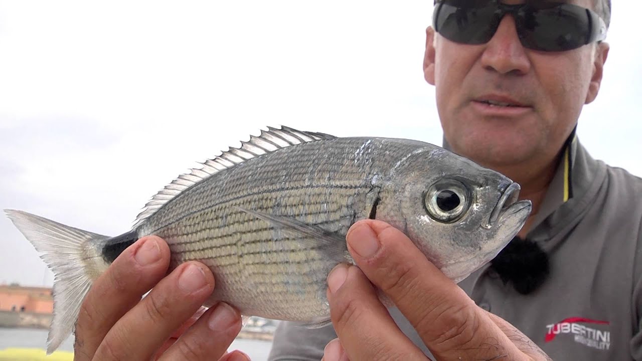 Italian Fishing TV - Tubertini Feeder in Tour - Feeder Fishing ad Arbatax