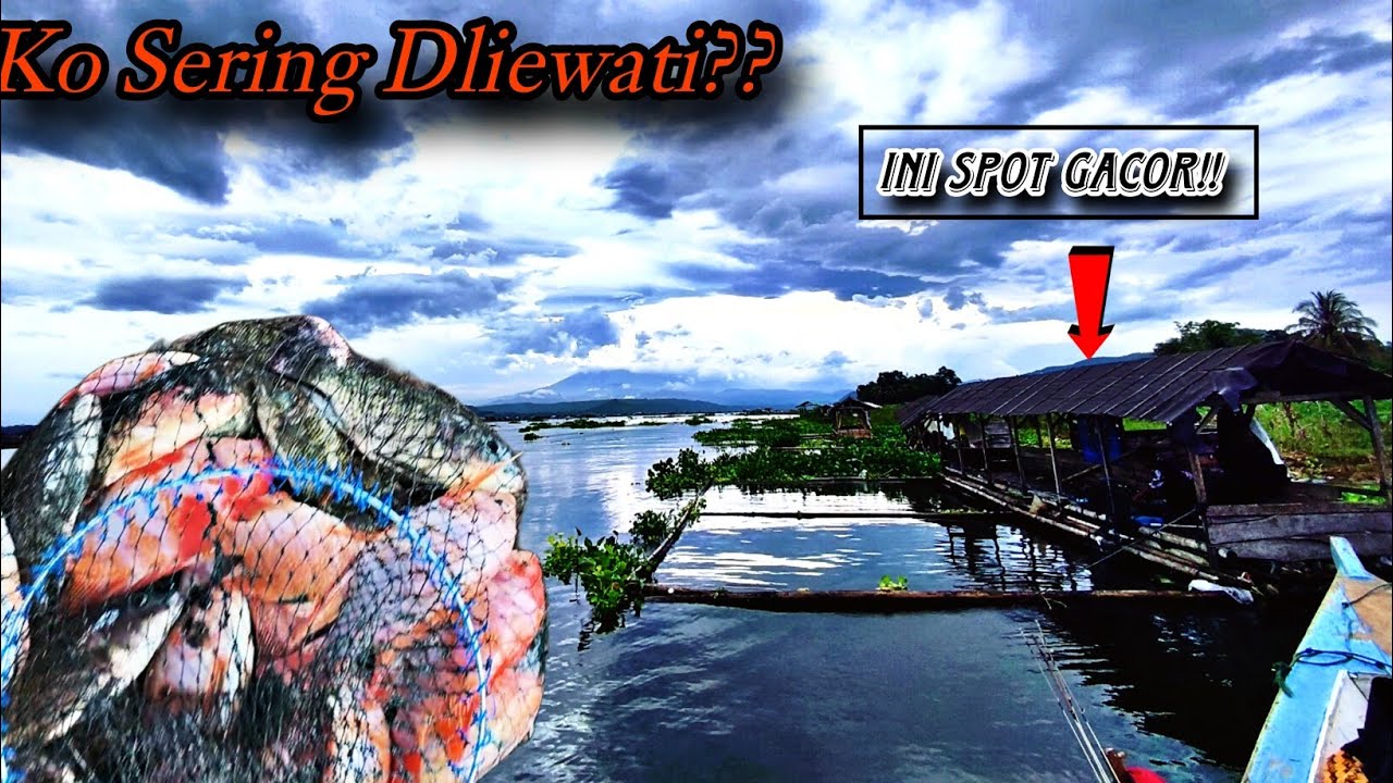 GACOR PAR4H‼️SPOT MANCING YANG SERING DILEWATI ‼️MANCING CIRATA TERBARU