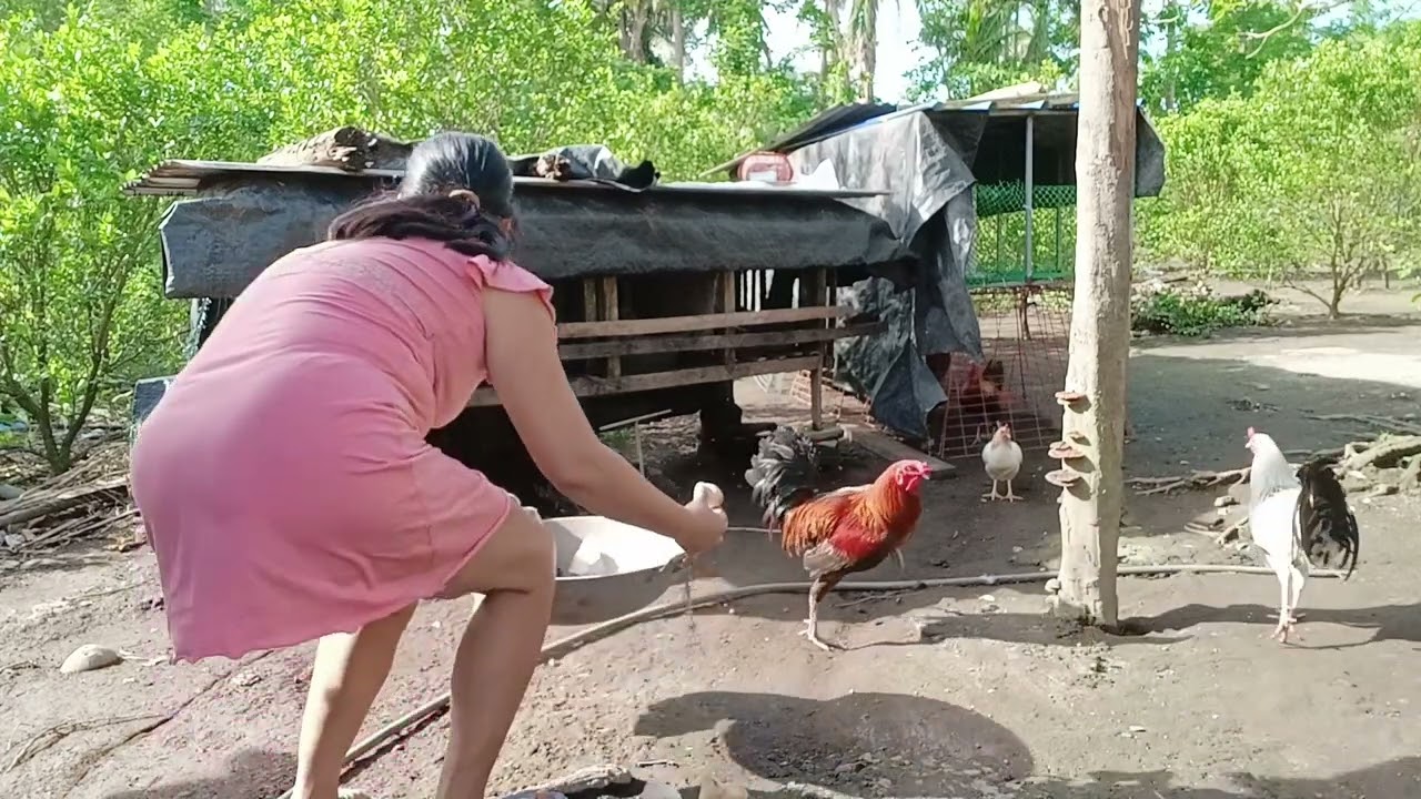 My exciting moment(new born sisiw)