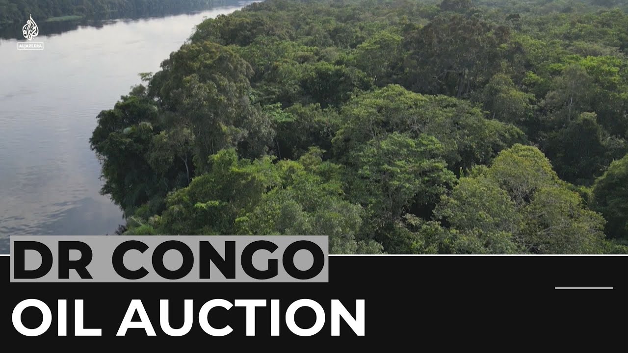 DR Congo rainforest at risk as government plans to sell rights to look for oil