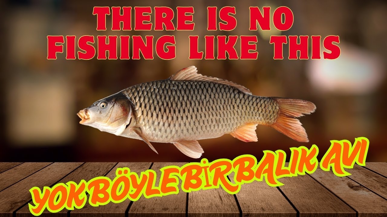 Yok Böyle Bir Balık Avı !!!  😱 😱 😱  Yol boyu Sohbet... 👏🏻 👏🏻 👏🏻