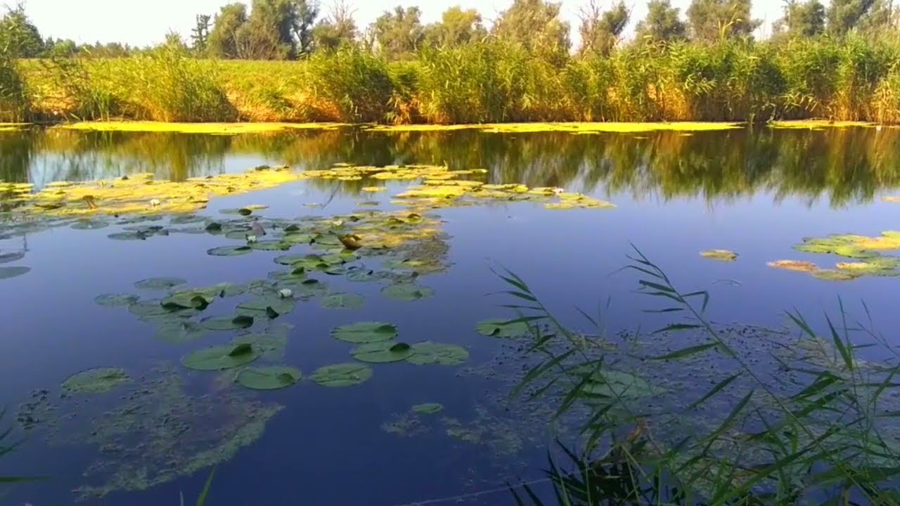 A Kis-Balaton útjain-Bicajjal a Diás szigetig