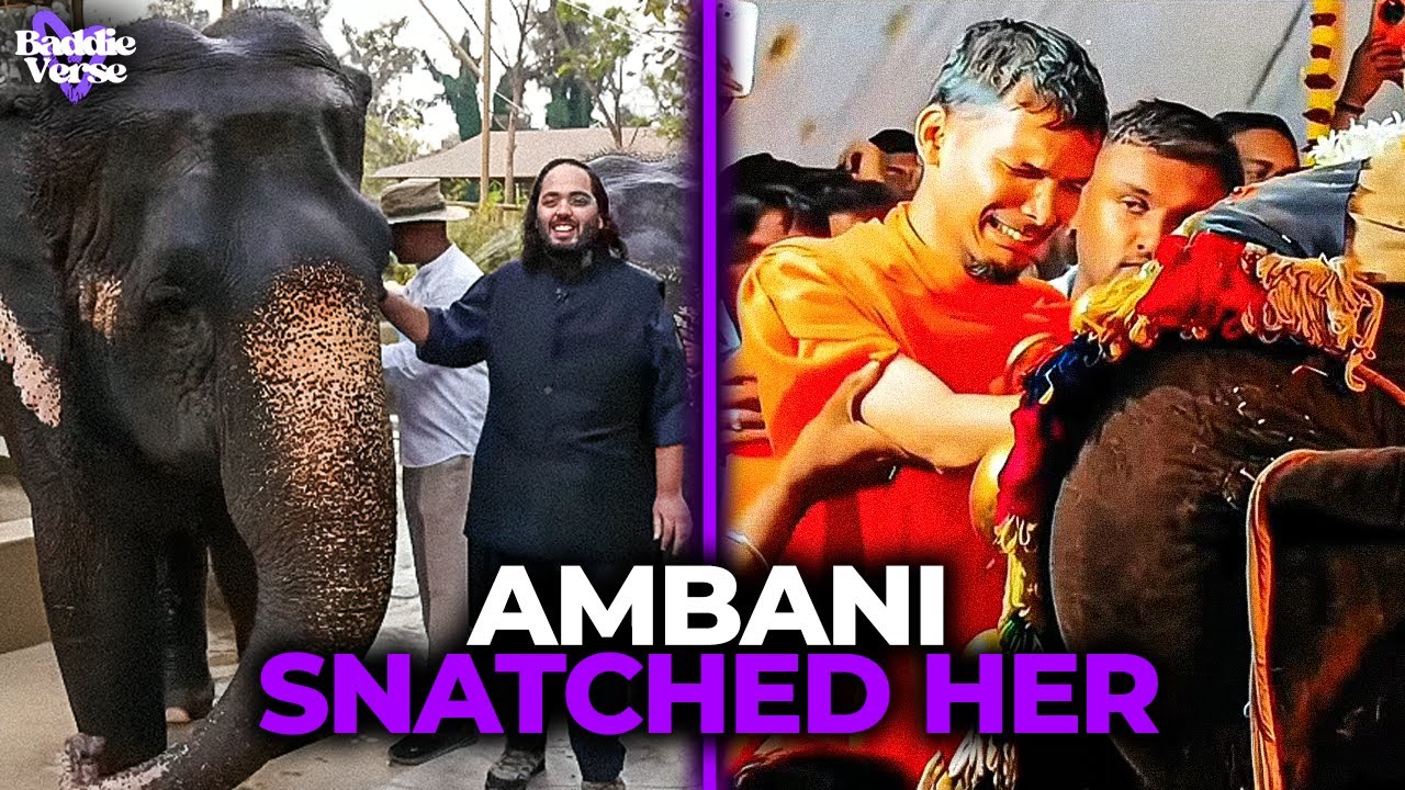 Madhuri Elephant FORCIBLY TAKEN by Ambani | VANTARA Wildlife Business EXPOSED!