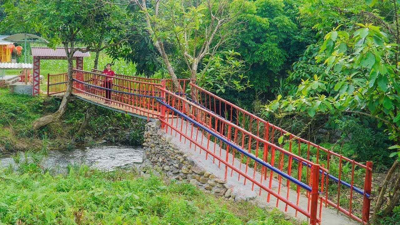 Girl CEO Returns to the Forest to Build a New Life: Build a Sturdy Bridge Across the Stream
