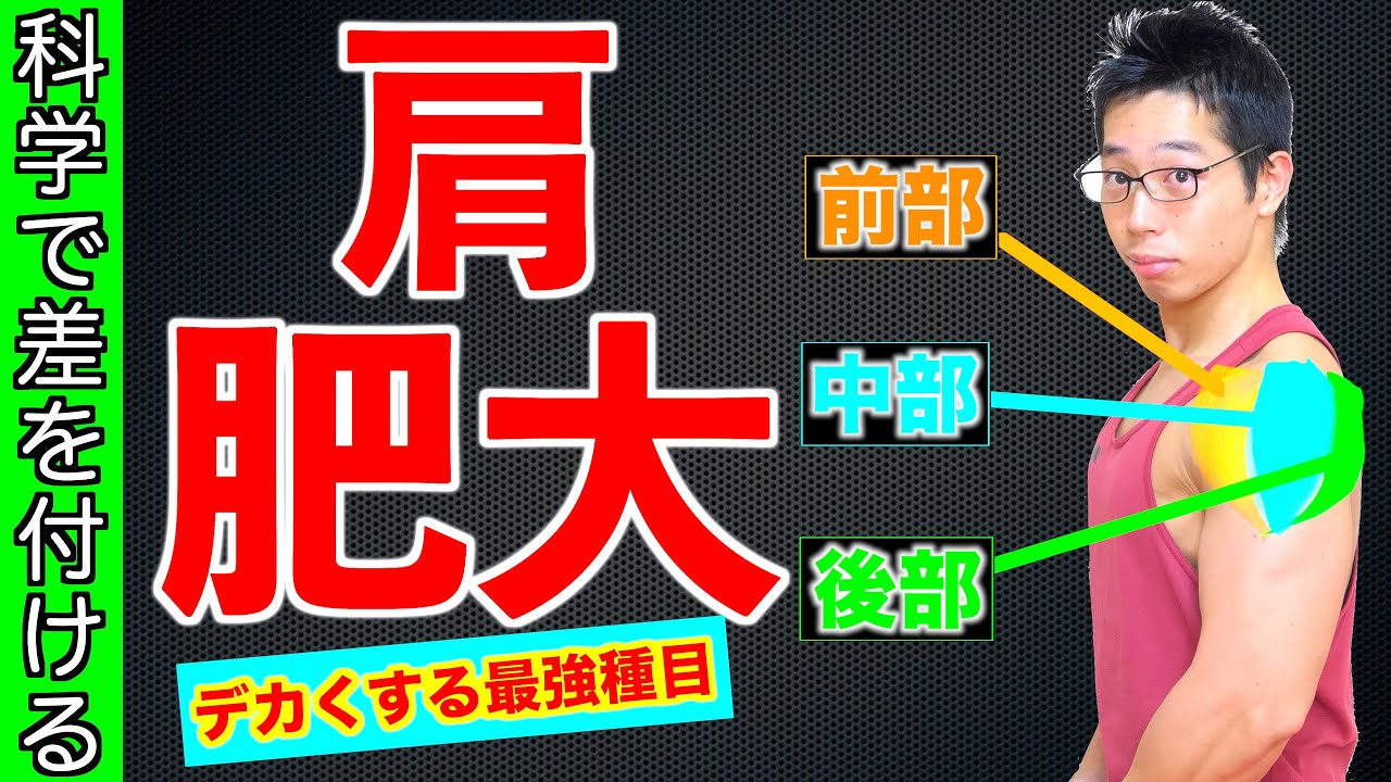 【筋トレ】肩をデカくする三角筋の最強種目！　科学で導くベスト種目はこれだ！【肩肥大】