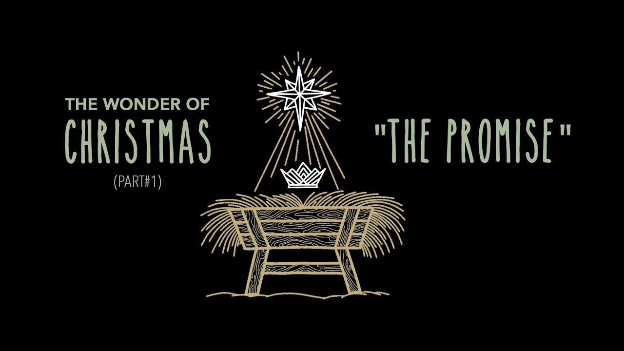 The Wonder of Christmas - 