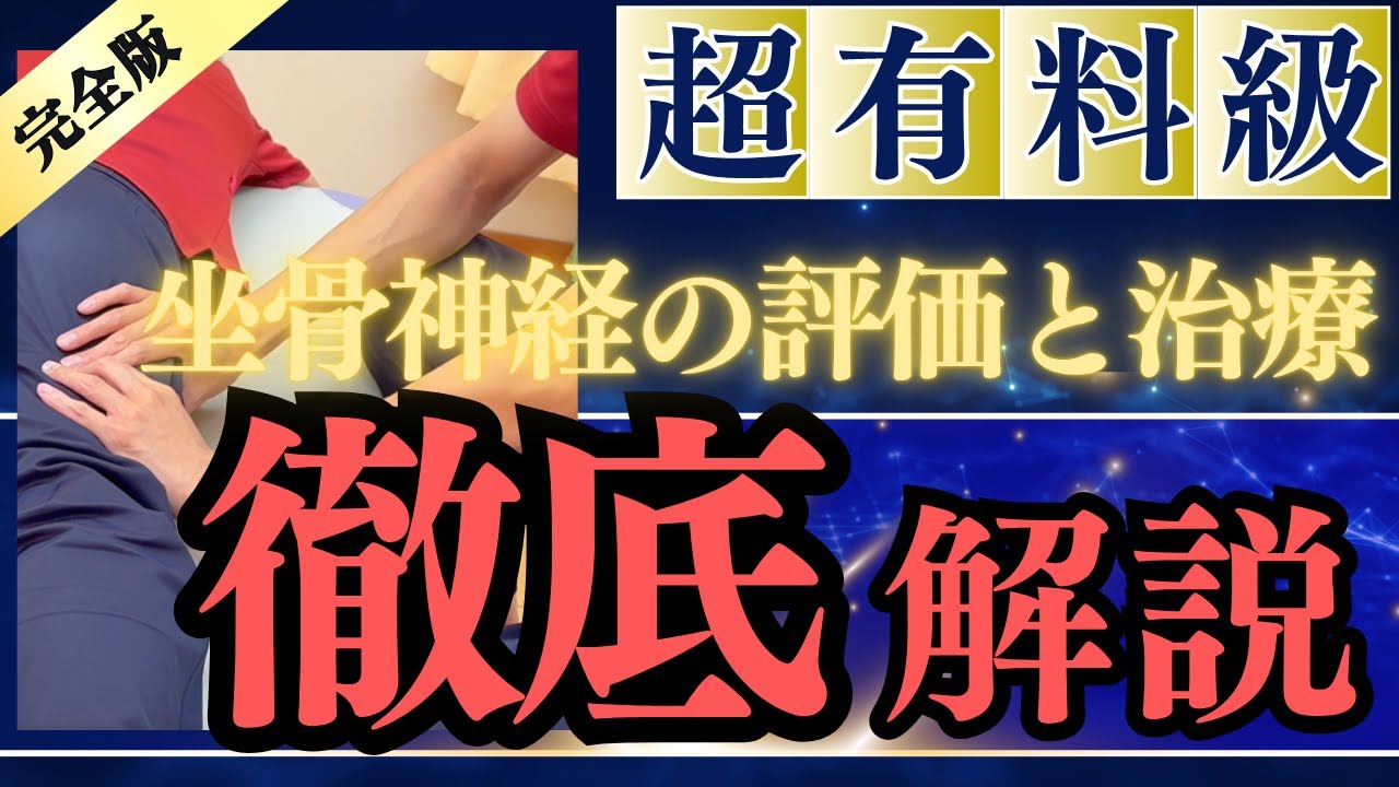 【坐骨神経シリーズ第２弾】坐骨神経痛へのアプローチ実技｜4つの筋間を狙え！