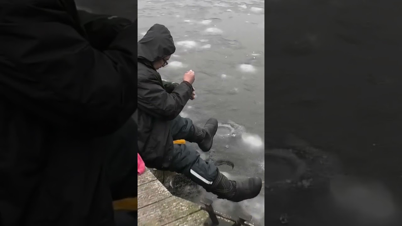 Печемо 😁 #крутарибалка #fishing #карась #плотва